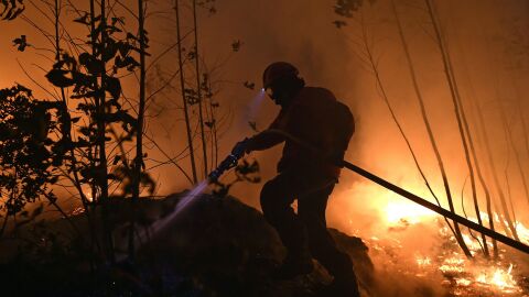 Un bombero combate un incendio forestal en Aveiro, Portugal.