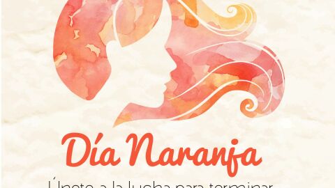 D&iacute;a Naranja 
