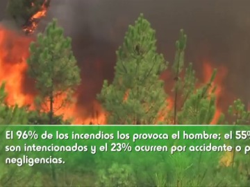 El 80% del presupuesto en la lucha contra los incendios se invierte en extinción frente al 20% en prevención 