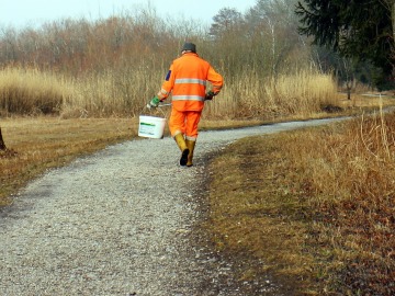 SEO/BirfLife busca protectores del medio ambiente