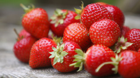 Fresas