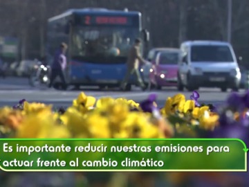 Reducir la huella de carbono, un compromiso de todos 