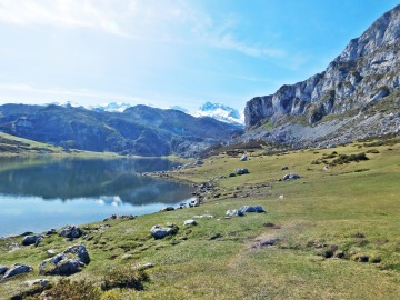 Lago de Covadonga