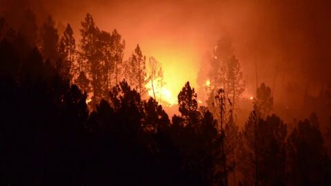 Tres incendios en el parque natural del Xur&eacute;s en Lobios han quemado casi 400 hect&aacute;reas 
