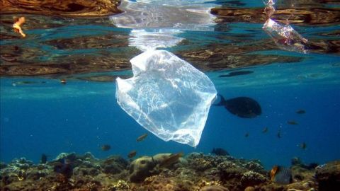 Residuos de pl&aacute;stico en el mar (Archivo)