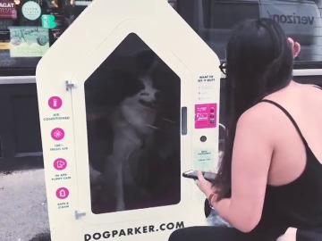 'Dog Parker', una caseta inteligente para dejar a tu perro cuando salgas a tomar un café