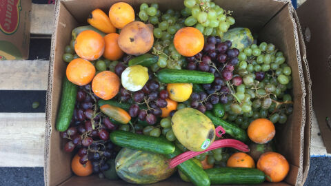 Las frutas y verduras encabezan la lista de alimentos que m&aacute;s se desechan