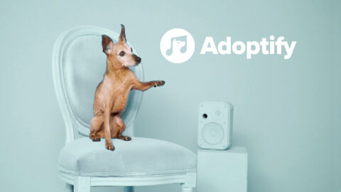 'Adoptify', una iniciativa que promueve las adopciones de perros a través de la música 'Adoptify', una iniciativa que promueve las adopciones de perros a través de la música