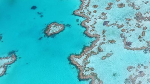 Australia destinar&aacute; 48 millones de d&oacute;lares para proteger la Gran Barrera de Arrecifes