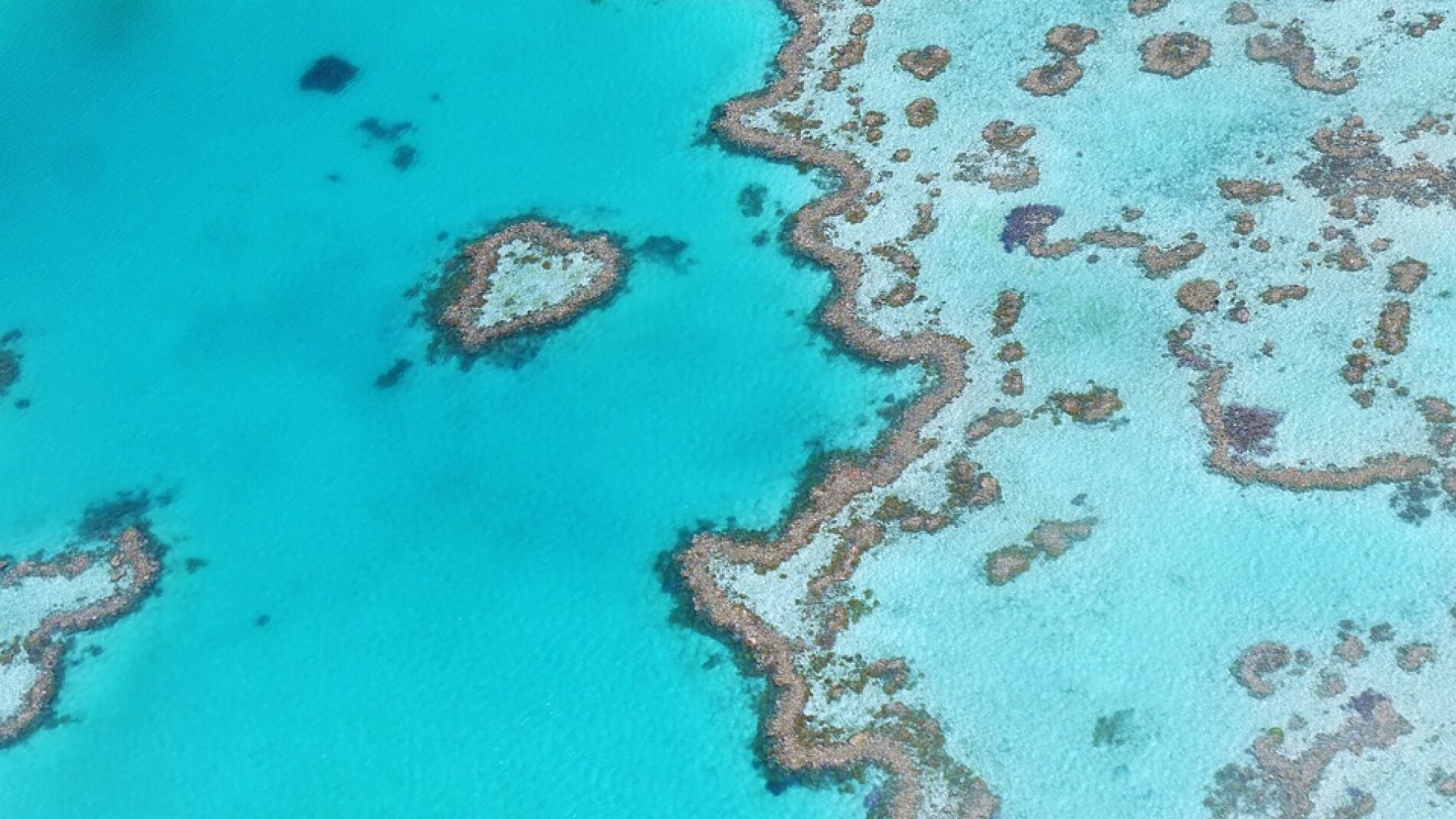 Australia destinará 48 millones de dólares para proteger la Gran Barrera de Arrecifes