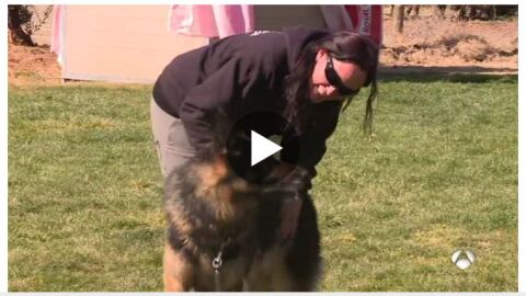 Tango, el perro adiestrado para proteger a &Aacute;frica de su agresor