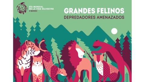 Los grandes felinos, protagonistas del Día Mundial de la Vida Silvestre Los grandes felinos, protagonistas del Día Mundial de la Vida Silvestre