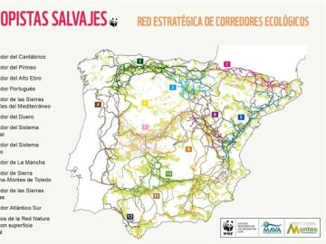 Mapa de los corredores ecológico elaborado por WWF