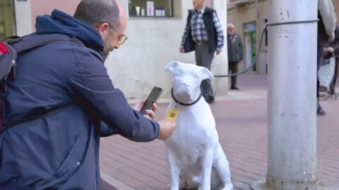 Barcelona promueve la adopci&oacute;n de animales de compa&ntilde;&iacute;a abandonados con perros de hormig&oacute;n 'abandonados' en la ciudad