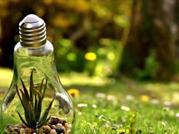 ¿Cómo podemos ayudar a proteger el medio ambiente?