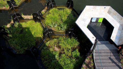 Rotterdam inaugura el primer parque reciclado con plásticos del mar MOTIVADO POR LA SOSTENIBILIDAD DEL MEDIO AMBIENTE