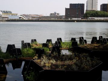 Rotterdam inaugura el primer parque reciclado con plásticos del mar