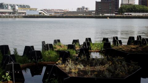 Rotterdam inaugura el primer parque reciclado con plásticos del mar MOTIVADO POR LA SOSTENIBILIDAD DEL MEDIO AMBIENTE