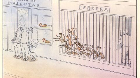 Paco Catalán, el dibujante que denuncia el maltrato animal con sus viñetas PUBLICA CADA DÍA UNA VIÑETA EN SUS REDES SOCIALES