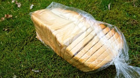 Desarrollan una envoltura ecológica para sustituir el embalaje de comida de plástico CON CÁSCARAS DE CANGREJO Y FIBRAS DE ÁRBOLES