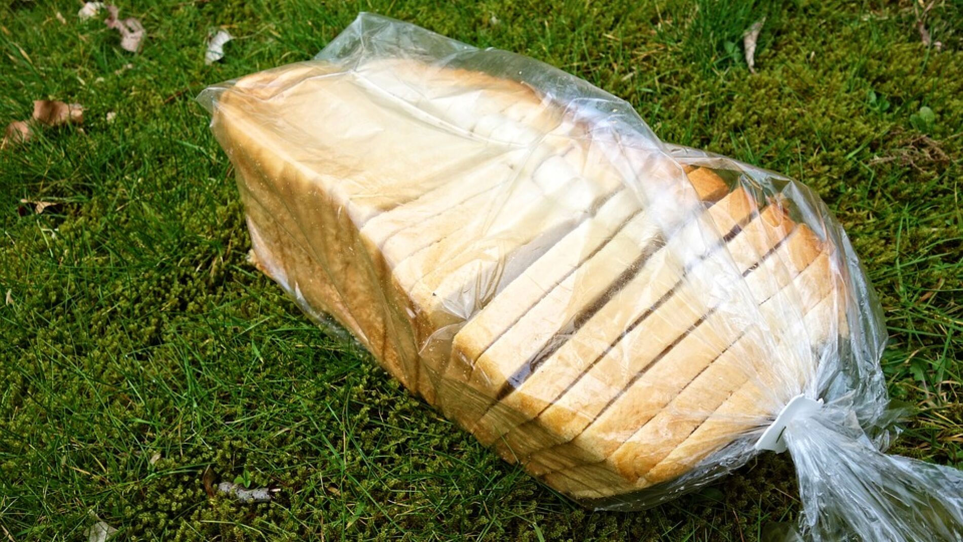 Desarrollan una envoltura ecológica para sustituir el embalaje de comida de plástico