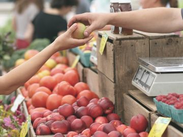 Las 5 ferias ecológicas en España que no te puedes perder