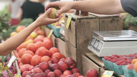 Las 5 ferias ecológicas en España que no te puedes perder TOMA NOTA