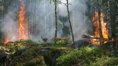 Expertos insisten en la necesidad de prevención frente a la extinción de incendios ALERTA PREVENCIÓN DE INCENDIOS