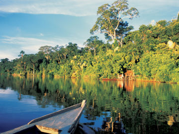 Amazonas