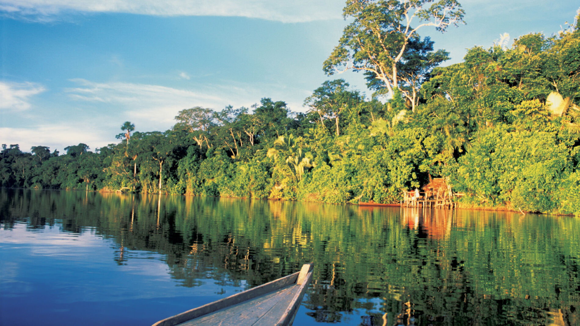 Amazonas