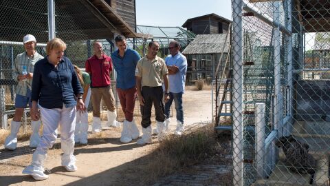 Merkel y Pedro S&aacute;nchez visitan al lince ib&eacute;rico en su parada por el Parque Nacional de Do&ntilde;ana