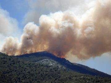 Los incendios forestales han destruido alrededor de 80 hectáreas cada día