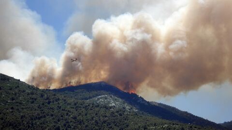 Los incendios forestales han destruido alrededor de 80 hectáreas cada día Los incendios forestales han destruido alrededor de 80 hectáreas cada día
