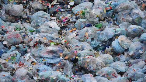 Ecologistas animan a la ciudadanía a unirse al Día Mundial de Limpieza Ecologistas animan a la ciudadanía a unirse al Día Mundial de Limpieza