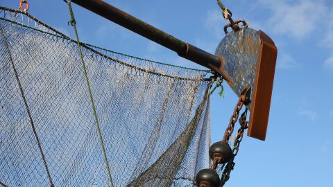 Reducir la pesca no será suficiente para recuperar especies si la temperatura del agua del mar sigue en aumento Reducir la pesca no será suficiente para recuperar especies si la temperatura del agua del mar sigue en aumento