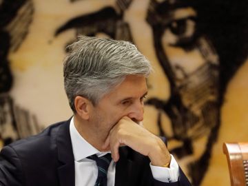 El ministro del Interior, Fernando Grande-Marlaska El ministro del Interior, Fernando Grande-Marlaska