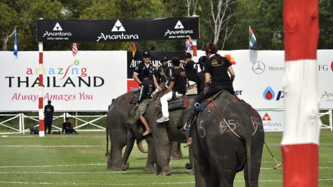 Polo con elefantes