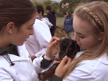 Los alumnos de El Boalo aprenden de la naturaleza gracias a unos de los programas más innovadores en gestión sostenible