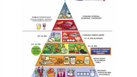 Novedades de la pirámide nutricional Novedades de la pirámide nutricional