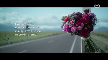 Esta Navidad conduce pensando cuál quieres que sea tu próximo ramo