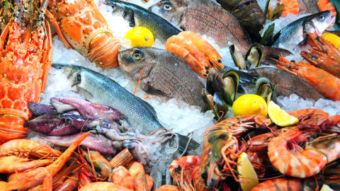 Pescado en una pescadería Pescado en una pescadería