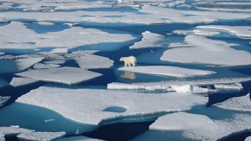 El deshielo en el Ártico Polar