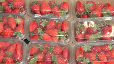 Imagen de fresas envasadas en cajas de pl&aacute;stico.