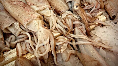 Calamares