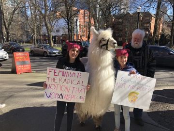 La llama Caesar, en la marcha por la mujer de Portland