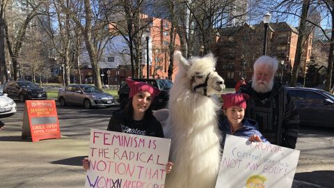 La llama Caesar, en la marcha por la mujer de Portland La llama Caesar, en la marcha por la mujer de Portland