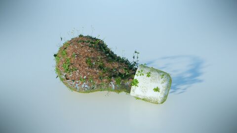 Día de la Tierra Día de la Tierra