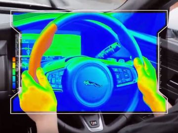 Volante sensorial