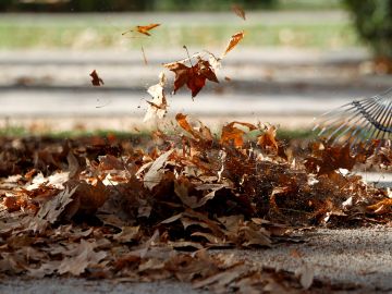 El cambio climático frena la descomposición de nutrientes