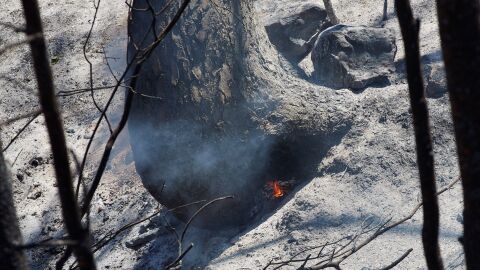 Espa&ntilde;a,el segundo pa&iacute;s del Mediterr&aacute;neo con m&aacute;s incendios forestales cada a&ntilde;o
